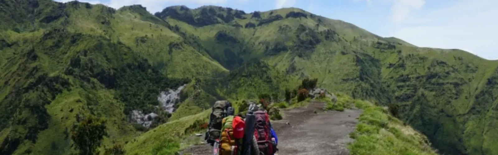 Complete Hiking Guide to San Francisco’s Best Trails and Scenic Outdoor Escapes