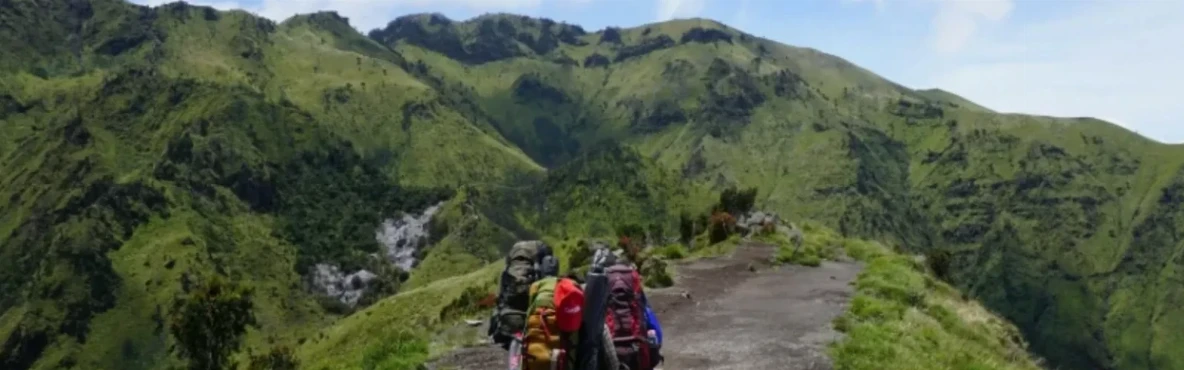 Complete Hiking Guide to San Francisco’s Best Trails and Scenic Outdoor Escapes