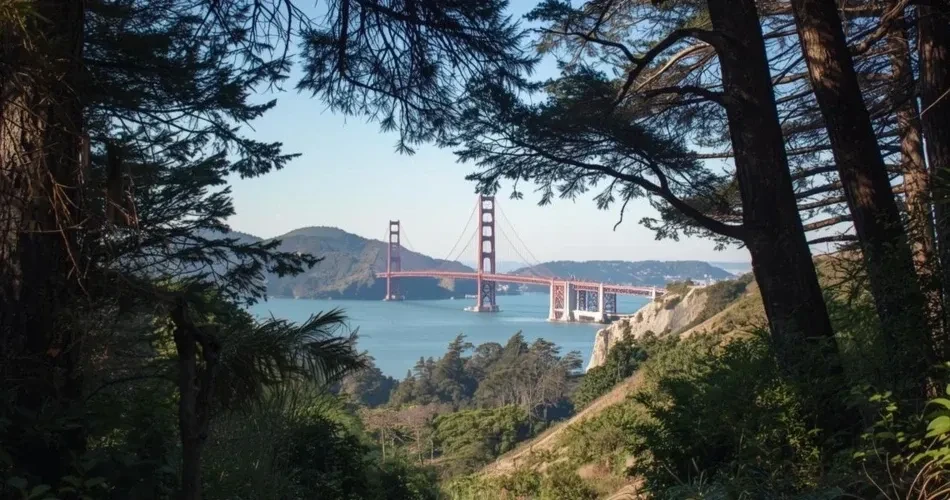 Complete Hiking Guide to San Francisco’s Best Trails and Scenic Outdoor Escapes