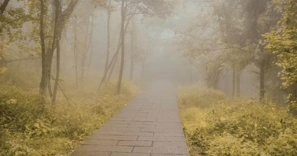Complete Hiking Guide to San Francisco’s Best Trails and Scenic Outdoor Escapes